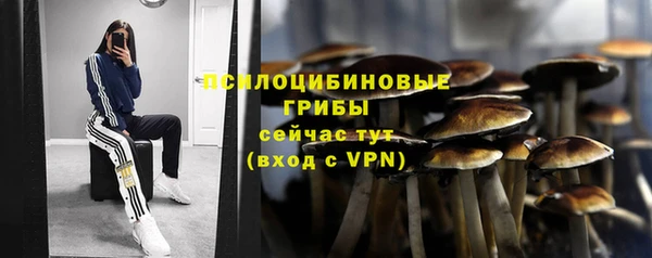 стафф Алексеевка