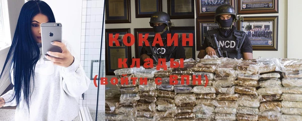 ГАЛЛЮЦИНОГЕННЫЕ ГРИБЫ Алексин
